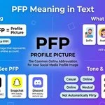 PFP Meaning in Text